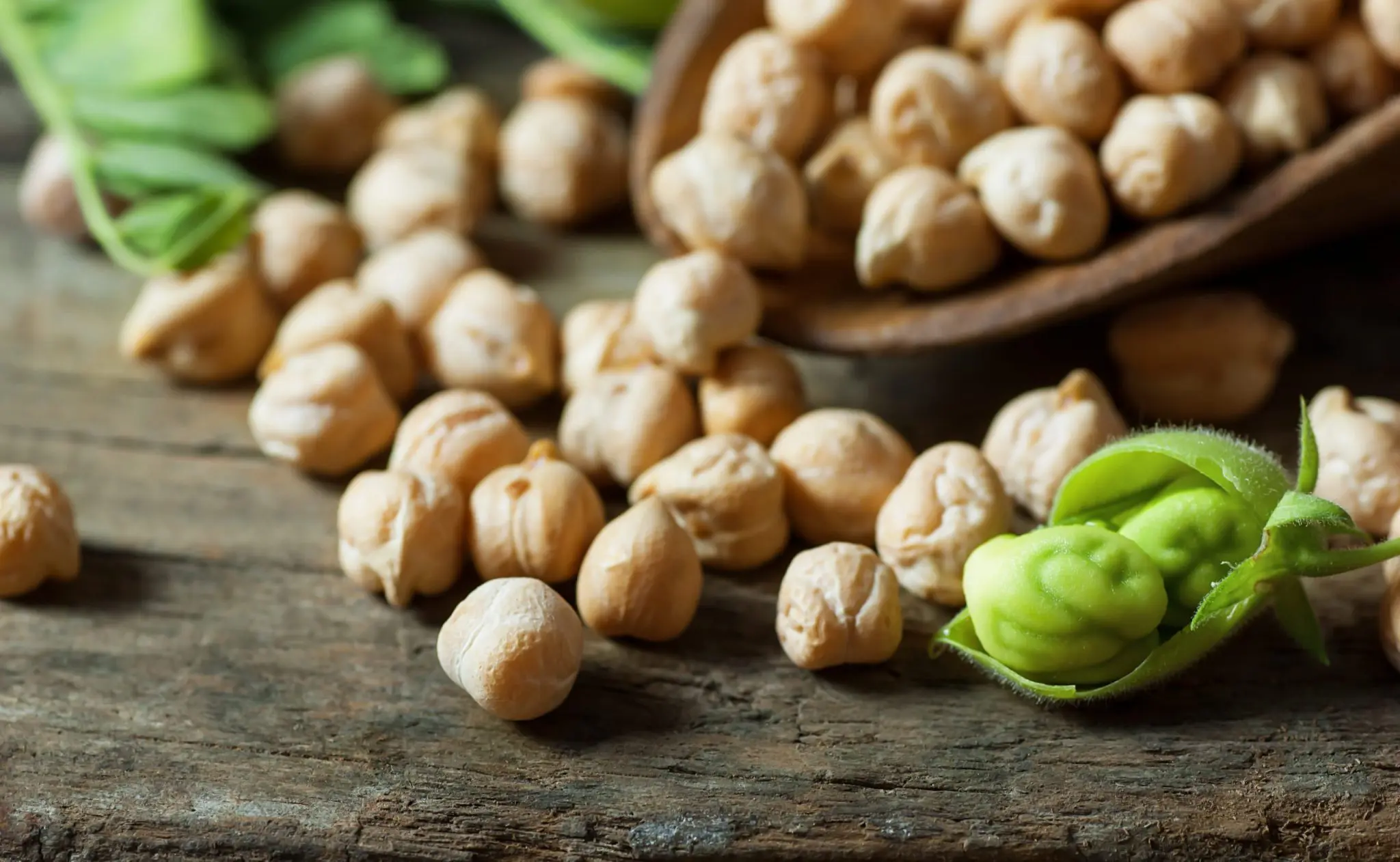 chickpeas-shutterstock_1427902991